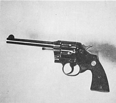 special revolver grip addition