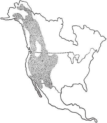North American Range of the Dall Sheep, Stone Sheep, and Bighorn Sheep