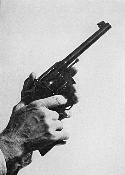 Target revolver grip