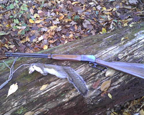 Squirrel and Small Game Hunting Rifle