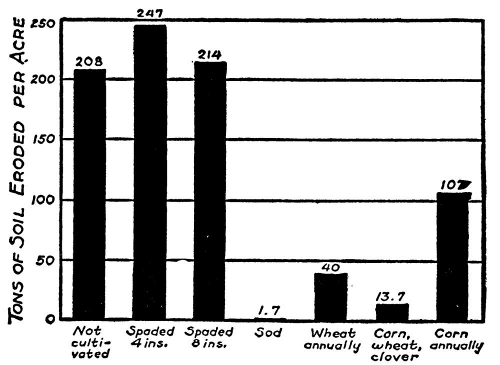 annual soil loss by treatment type