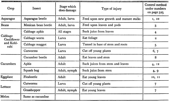 garden pest control methods 1